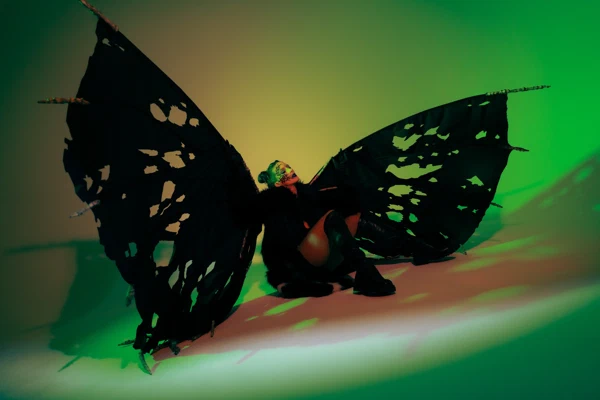 Butterfly