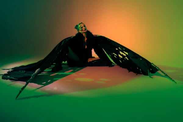 Butterfly 3