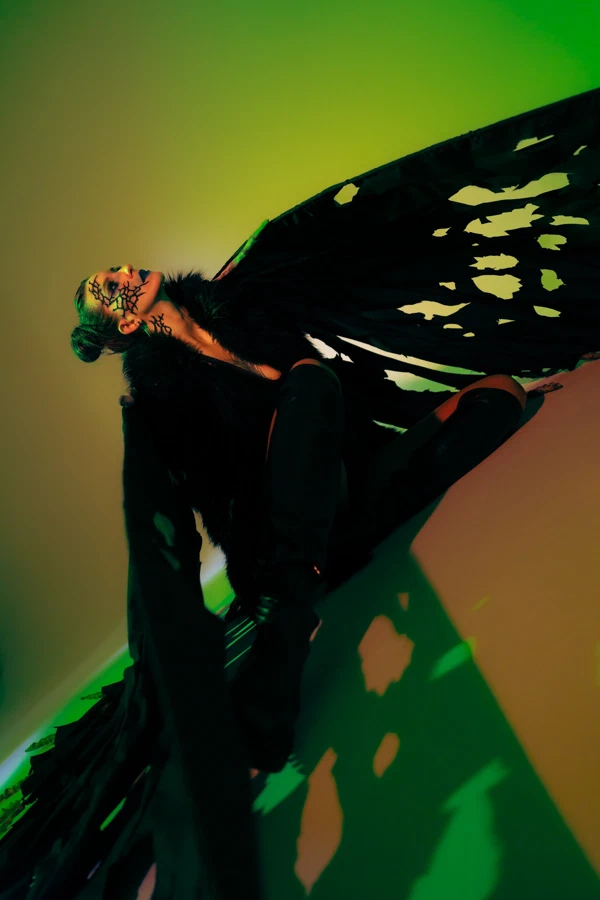 Butterfly 6