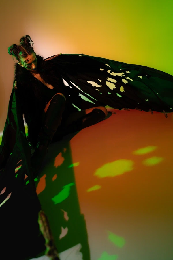 Butterfly 7